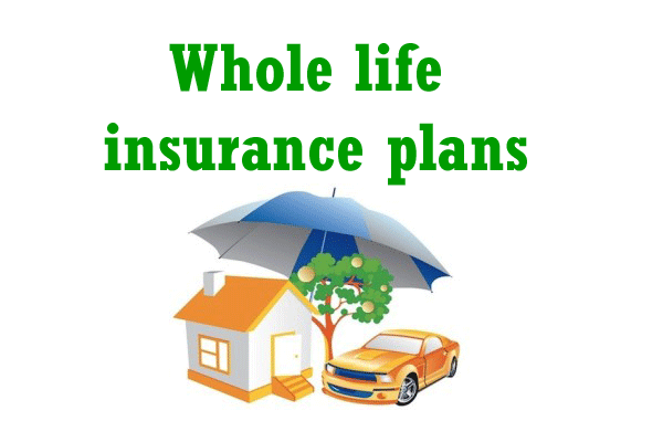 Whole life insurance plans in India