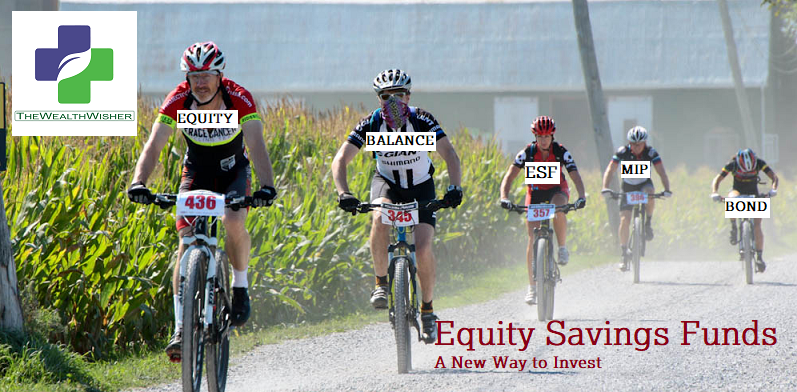 Equity Savings Fund