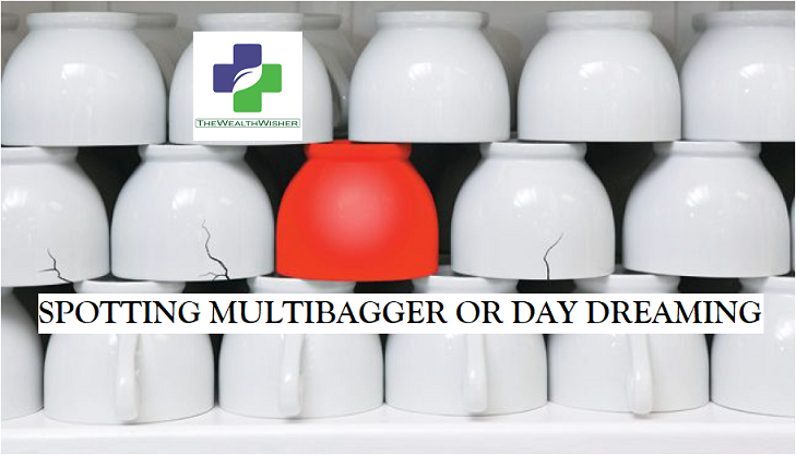 MULTIBAGGER